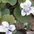 Barb Katzenapple Anspach's profile image