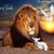 Sarah Lee Browning's profile image