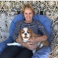 June Adams's profile image