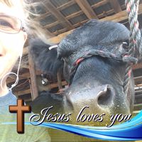 Priscilla Ellis Hooper's profile image