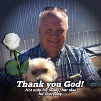 Mike Lamberson's profile image