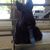 Marilyn Peck's profile image