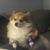 Jim Becker's profile image