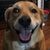 Rene Chenault's profile image