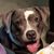 Richard Kafka's profile image