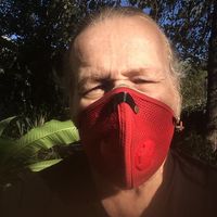 Robert L Bednar's profile image