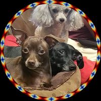 Dana Ramsey-Keblish's profile image