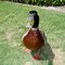 Martin B.'s profile image