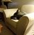 Beth Feiler's profile image