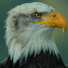 WefindDeals4U's profile image