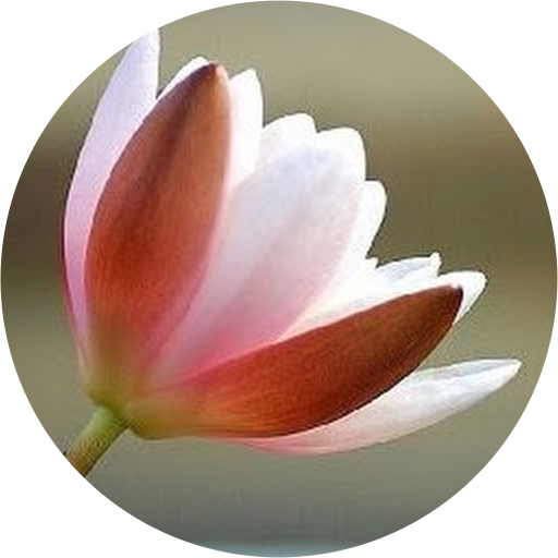 Gayle Ellison Davis's Profile Image