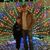 Michael Whittington's profile image