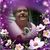 Barbara Childress's profile image