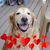 Jennifer Stegall's profile image