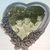 Sissy Qualls's profile image