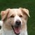 Tim McKay's profile image