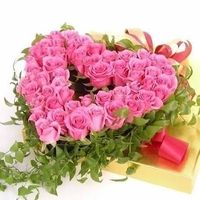 Jose Antonio's profile image