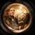 Jake Silbernagel's profile image