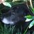 Susie McDaniel's profile image