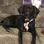 Lori Wilson's profile image