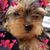 Kelly Ka's profile image