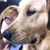 Janet O'Rourke Murphy's profile image