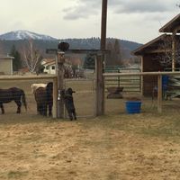 Nancy Lofgren Allred's profile image