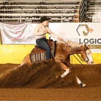 Britta Wallner's profile image