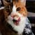 Robb JoRo's profile image