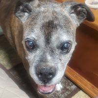 Cathy Hammack's profile image