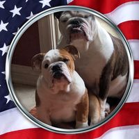 Tom F Zoltek's profile image