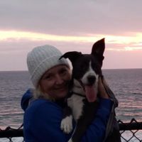 Trista Caley's profile image