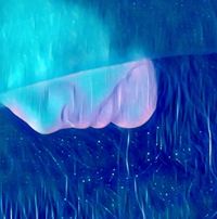 Doris Arauz's profile image
