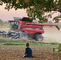 Cindy Denman's profile image