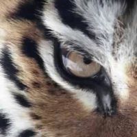 Lynn Berns's profile image