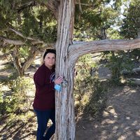 Cheri Braun Tobian's profile image