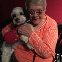 Pat Ransom's profile image