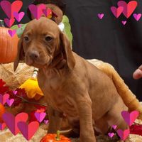 Heidi Sterner's profile image
