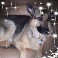 Wendy Bartz's profile image