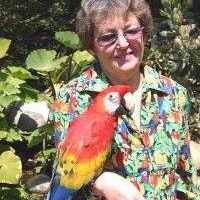 Mary Kornman Sutphin's profile image
