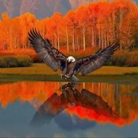 Art Lucke's profile image