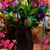 Christy Humphrey's profile image