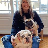 Jamie Arsenault's profile image