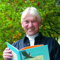 Joe Brown's profile image