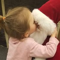 Melissa McMahel Whitman's profile image