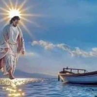 Mary Herrick Moran's profile image