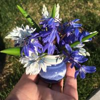 Ann Grafton's profile image