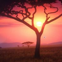 Dorris Mukami's profile image