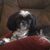 Steve Pralley's profile image