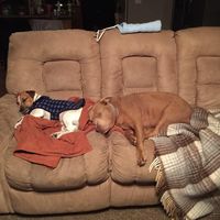 JoAnn Webb's profile image